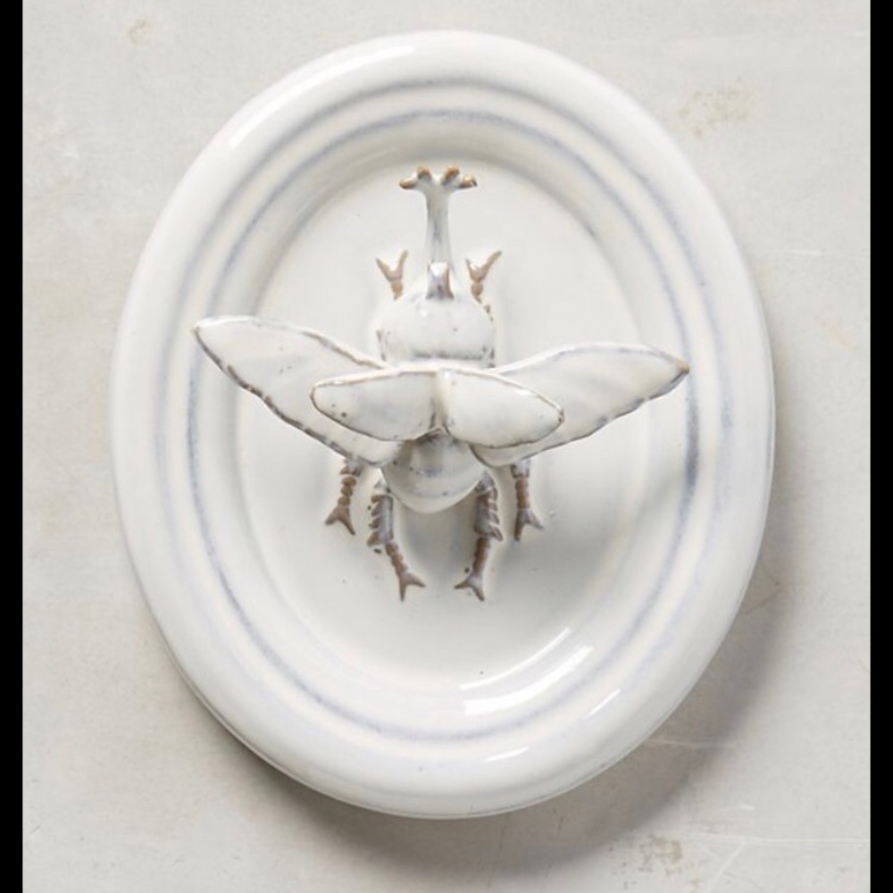 ISO Anthropologie Entomologist Wall Bust
